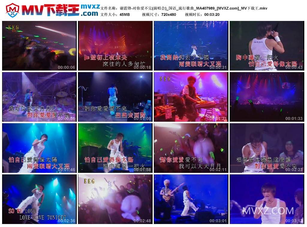 谢霆锋-对你爱不完(演唱会)_国语_流行歌曲_MA407989